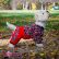 Одежда For My Dogs 200SS-2016 (F) Одежда For My Dogs 200SS-2016 (F)
