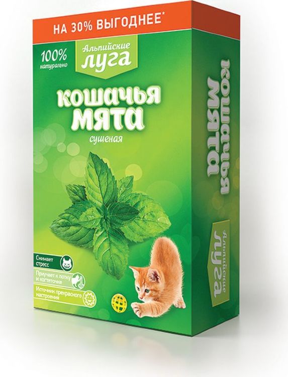 Кошачья мята Альпийские луга, сушеная, 20 грамм Кошачья мята Альпийские луга, сушеная, 20 грамм