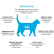 Grandorf Vet (Грандорф Вет) для кошек с заболеваниями кожи (Cat DERMATOSIS)