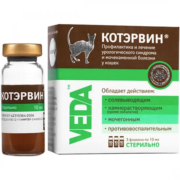 Кот Эрвин