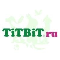 TitBit (Россия)
