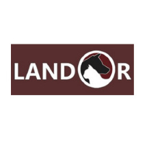 Landor (Россия)
