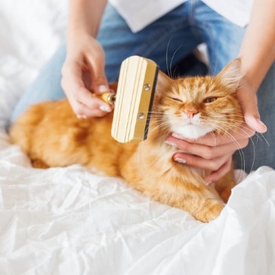 Дешеддеры для кошек