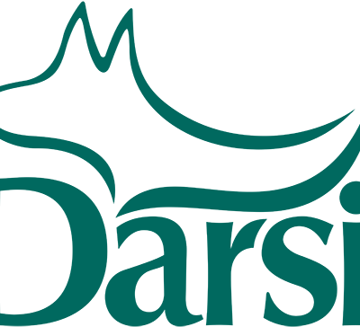 Darsi (Россия)